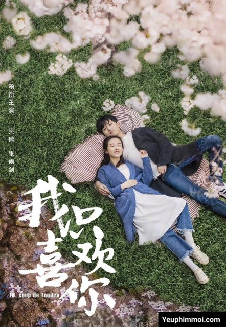 Anh Chỉ Thích Em - Le Coup de Foudre (2019) Anh Chỉ Thích Em - Le Coup de Foudre (2019)